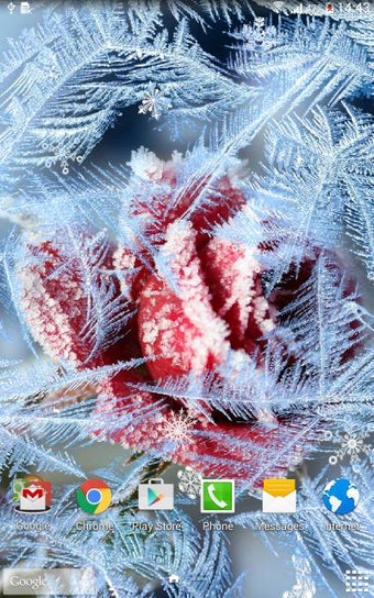 Imagen 0 para Winter Flowers Live Wallp…