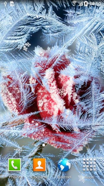 Imagen 2 para Winter Flowers Live Wallp…