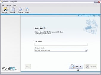 Image 0 for WordFIX