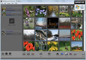 Image 0 for Blurt