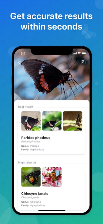 Image 0 for Picture Insect - Insect I…