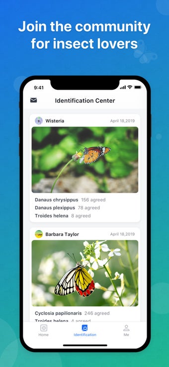 Image 3 for Picture Insect - Insect I…