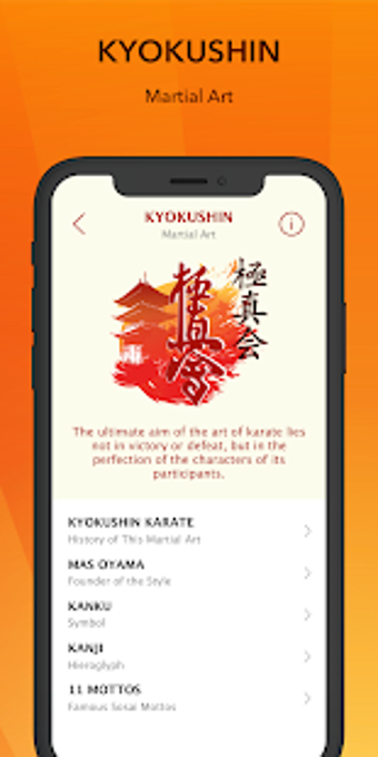 Image 1 for Interactive Kyokushin Boo…