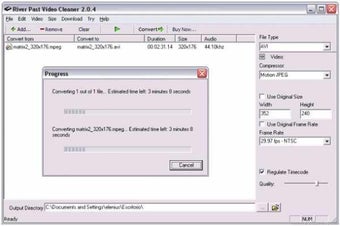 Image 0 for River Past Video Cleaner