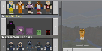 Image 0 for Ultimate block change for…