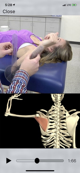 Image 2 for OT Kinesiology Pro Consul…