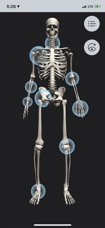 Image 3 for OT Kinesiology Pro Consul…