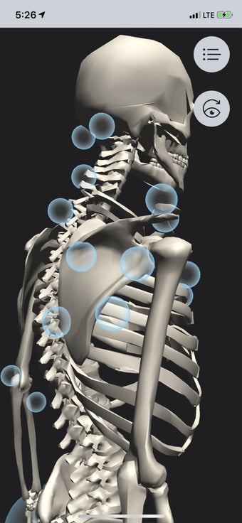 Image 1 for OT Kinesiology Pro Consul…