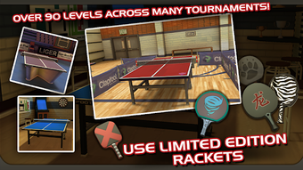 Image 1 for Ping Pong Masters