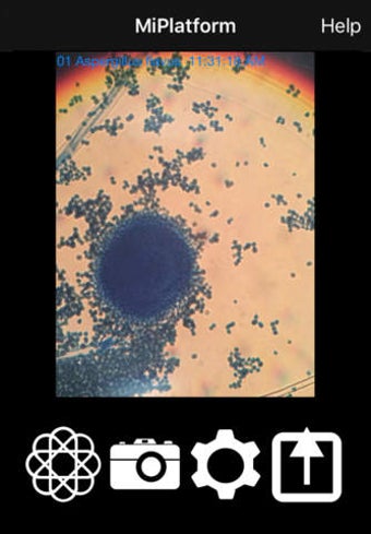 Image 0 for MiPlatform