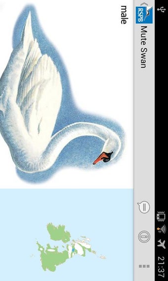 Imagen 2 para RSPB eGuide to British Bi…