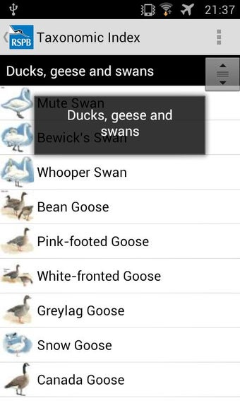 Imagen 1 para RSPB eGuide to British Bi…