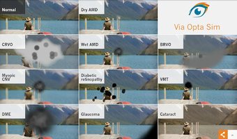 Imagen 1 para ViaOpta Simulator