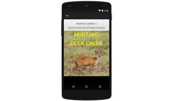 Image 0 for Muntjac Deer Calls