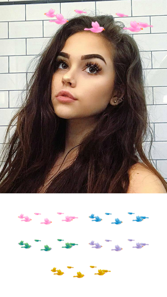 Image 2 for Heart Crown Photo Editor