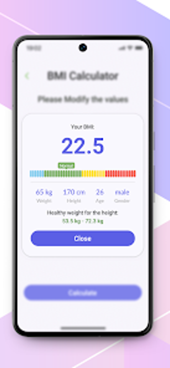 Imagen 0 para BodyMirror Pro