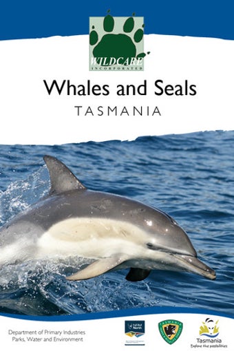 Imagen 0 para Whales and Seals