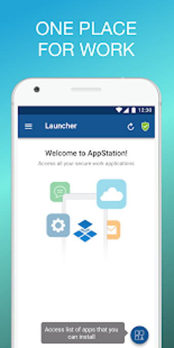Image 1 for MobileIron AppStation