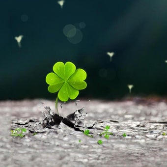 Image 2 for Lucky Charms Live Wallpap…