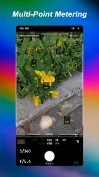 Imagen 0 para FilmMeter