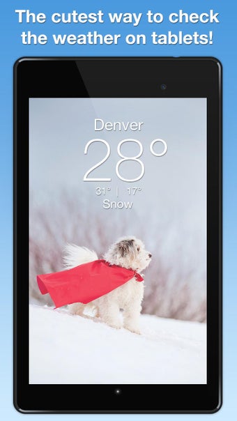 Image 0 for Weather Puppy