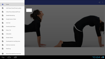Imagen 0 para Herniated Disc Exercises