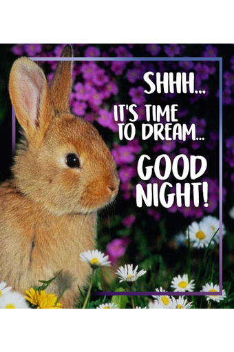 Image 1 for Good Night