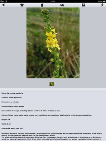 Image 0 for Medicinal Plants Collecti…