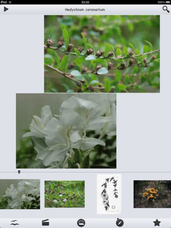 Image 1 for Medicinal Plants Collecti…