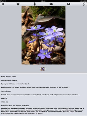 Image 2 for Medicinal Plants Collecti…