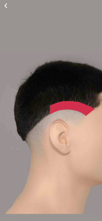 Image 2 for Fade Calculator