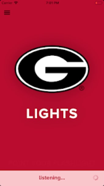 Image 1 for Georgia Lights