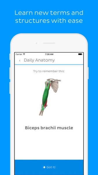Image 2 for Daily Anatomy: Learn Huma…