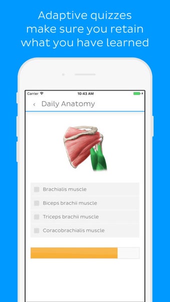 Image 1 for Daily Anatomy: Learn Huma…