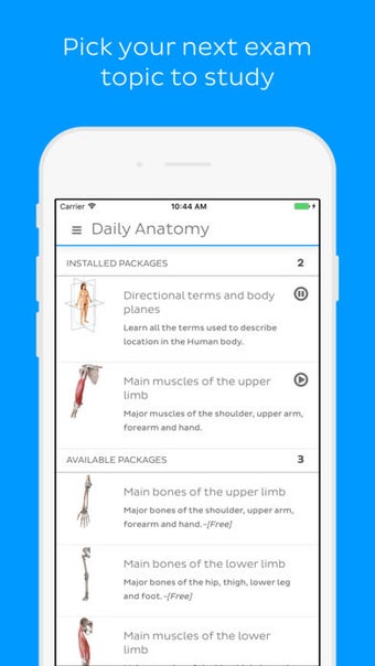 Image 3 for Daily Anatomy: Learn Huma…