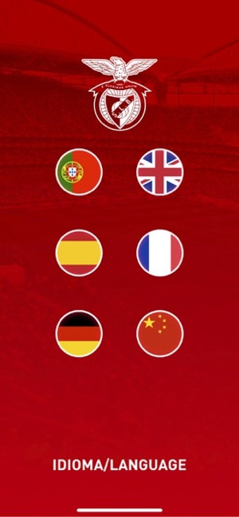 Image 3 for Benfica Tour 360
