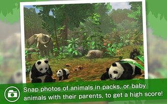 Image 1 for RealSafari - Find the ani…