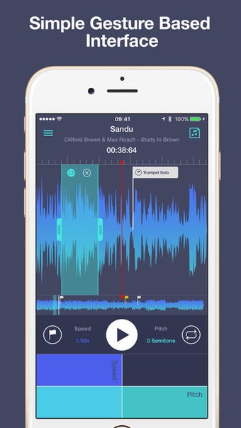 Image 0 for Transcribe+ Elegant Slow …