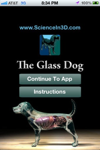 Image 0 for Canine Flashcards