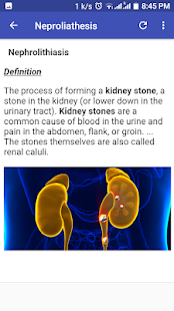 Imagen 1 para Abdomino-Pelvic Ultrasoun…