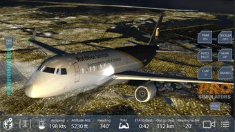 Imagen 1 para Pro Flight Simulator NY F…