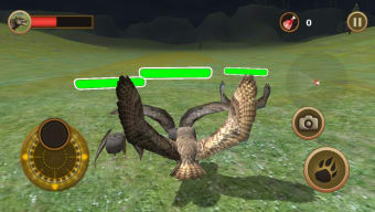 Image 3 for Horned Owl Simulator
