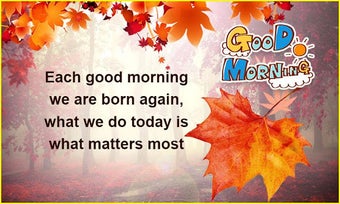 Image 0 for Good Morning GIF & Frames