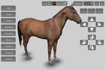 Image 0 for 3D Horse Anatomy Software