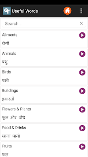 Image 0 for Orchid: English Hindi Dic…