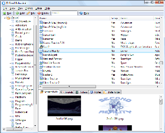 Imagen 0 para D-Fend Reloaded