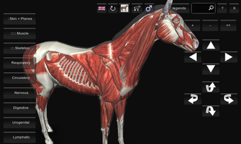 Image 0 for 3D Horse Anatomy Software