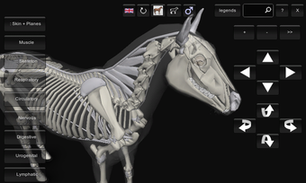 Image 2 for 3D Horse Anatomy Software