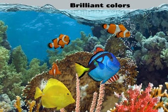 Imagen 0 para Fish Farm 2