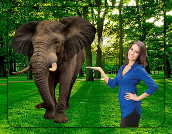Imagen 0 para 3D Wildlife Animal Photo …